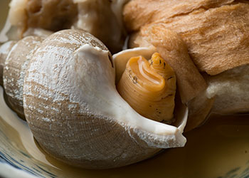 Baigai shellfish
